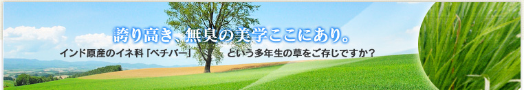 �ւ荂���A���L�̔��w�����ɂ���B�C���h���Y�̃C�l�ȁu�x�`�o�[�v�Ƃ������N���̑����������ł����H�ɂ́A�������肪����A���o�����I�C���́A�������̂��鍁����I�[�f�R�����ɍL���g���Ă��܂��B